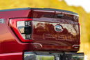 Ford F-150 (2021+): Morimoto XB LED Taillights